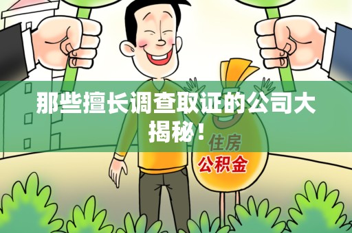 萍乡那些擅长调查取证的公司大揭秘！