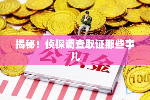 萍乡揭秘！侦探调查取证那些事儿