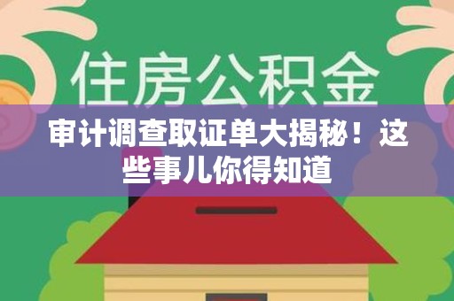 萍乡审计调查取证单大揭秘！这些事儿你得知道
