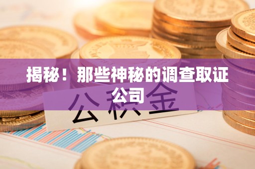 萍乡揭秘！那些神秘的调查取证公司