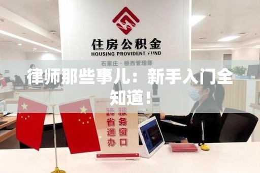 萍乡律师那些事儿：新手入门全知道！