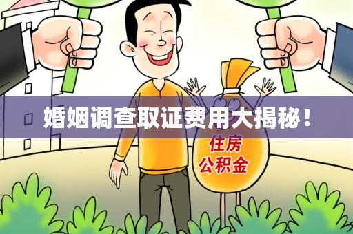 萍乡婚姻调查取证费用大揭秘！