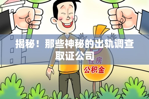萍乡揭秘！那些神秘的出轨调查取证公司