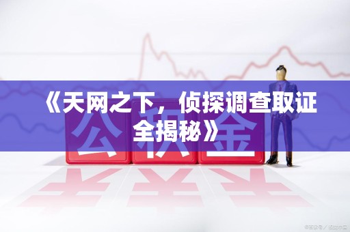 萍乡《天网之下，侦探调查取证全揭秘》