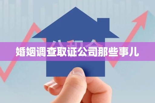 萍乡婚姻调查取证公司那些事儿