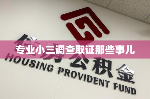 萍乡专业小三调查取证那些事儿