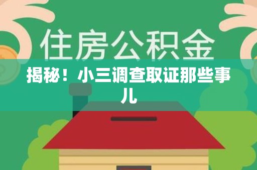 萍乡揭秘！小三调查取证那些事儿