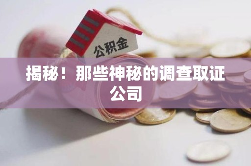 萍乡揭秘！那些神秘的调查取证公司