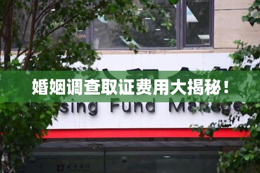 萍乡婚姻调查取证费用大揭秘！