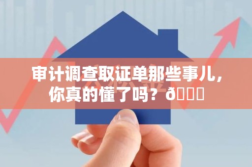 萍乡审计调查取证单那些事儿，你真的懂了吗？😎