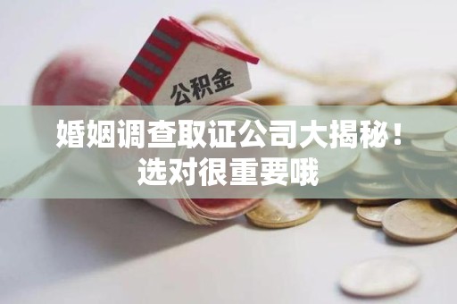 萍乡婚姻调查取证公司大揭秘！选对很重要哦
