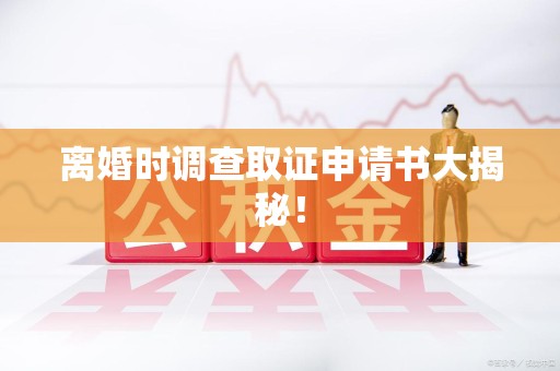 萍乡离婚时调查取证申请书大揭秘！